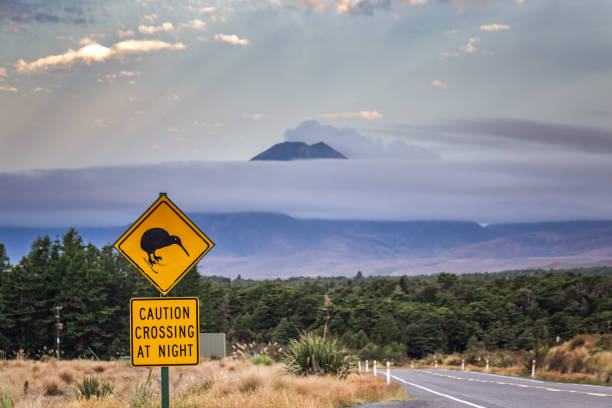 istock New Zealand views 1253559394