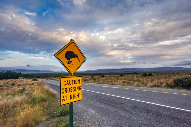 istock New Zealand views 1253559395