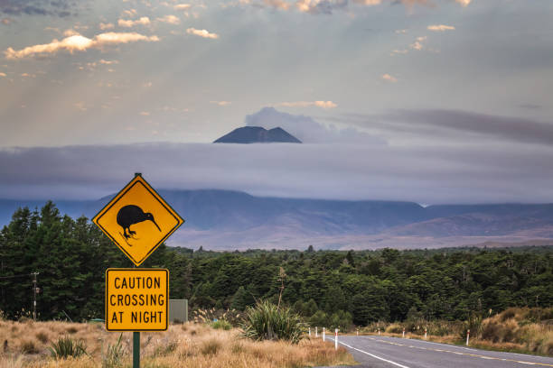 istock New Zealand views 1253559396