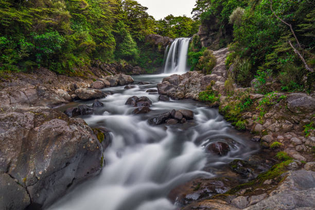 istock New Zealand views 1253559399