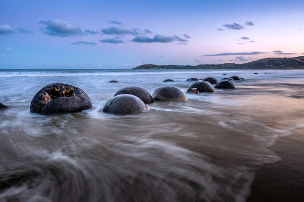 Round Moeraki Boulders at sunset, Koekohe beach, Otago, South Island, New Zealand.