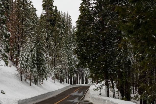 istock Frozen road highway 120 towards Yosemite 1253559762