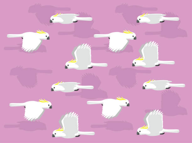 硫磺皺角鸚鵡飛行卡通人物向量無縫背景壁紙-01 - 小葵花美冠鸚鵡 幅插畫檔、美工圖案、卡通及圖標