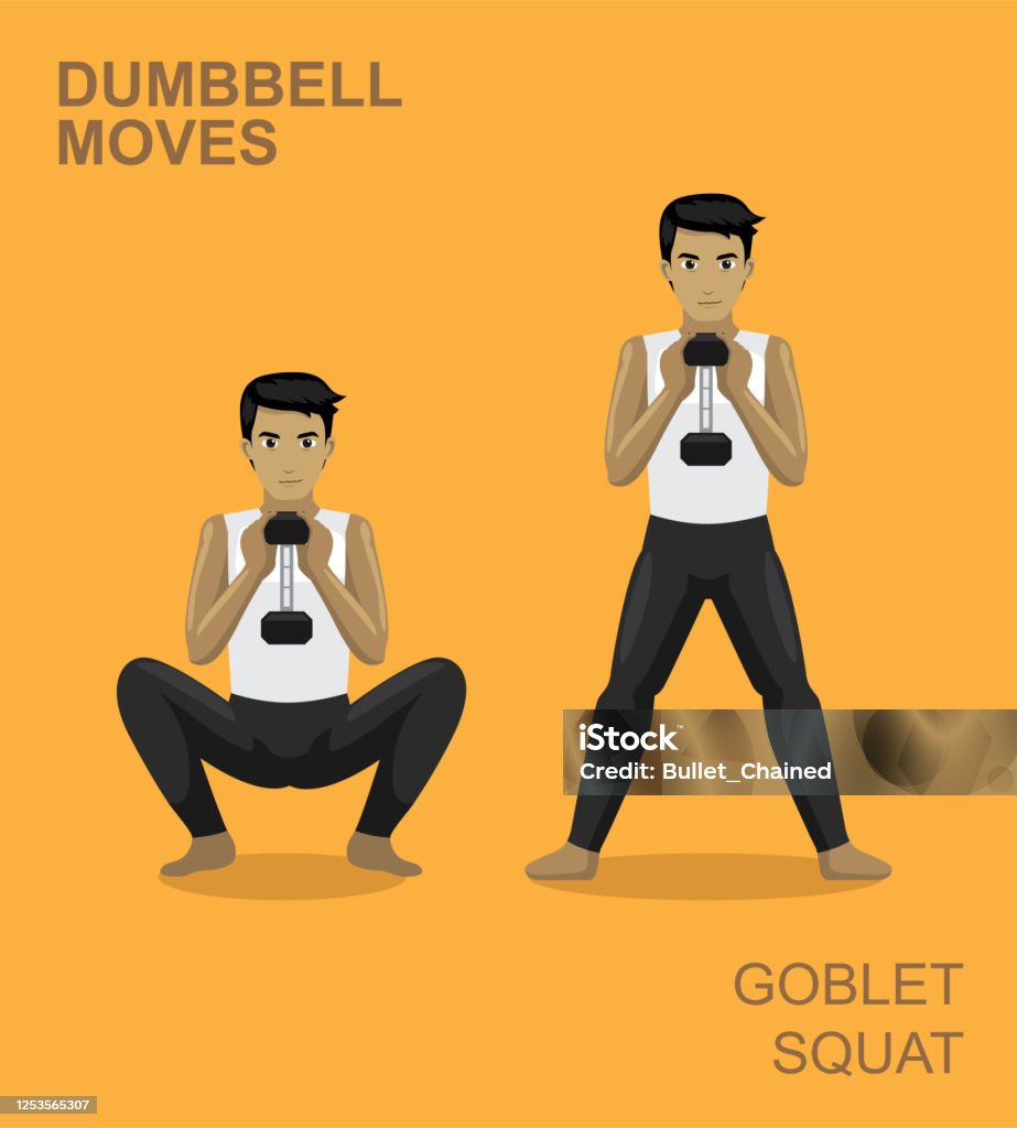 Goblet Squat Dumbbell Moves Manga Gym Set Illustration Dumbbell Moves EPS10 File Format Wineglass stock vector