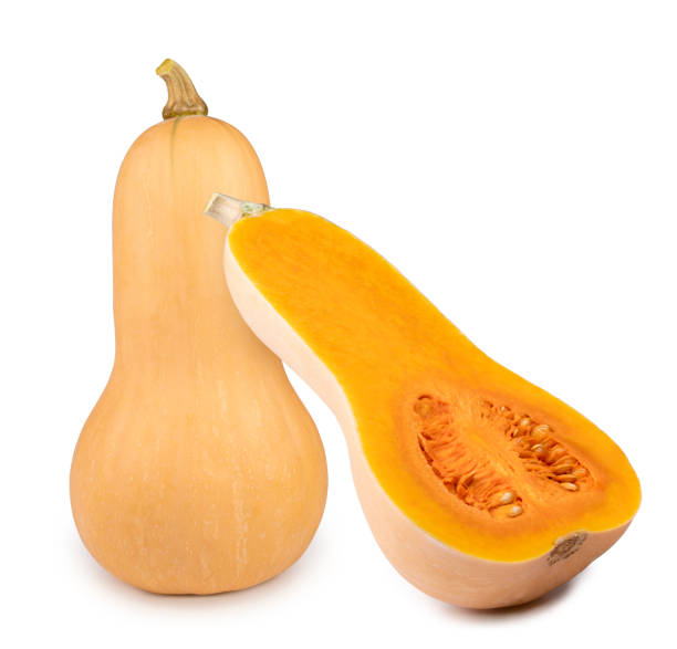 istock Butternut Pumpkin isolated on white background, Fresh butternut squash isolated on a white background, 1253569078