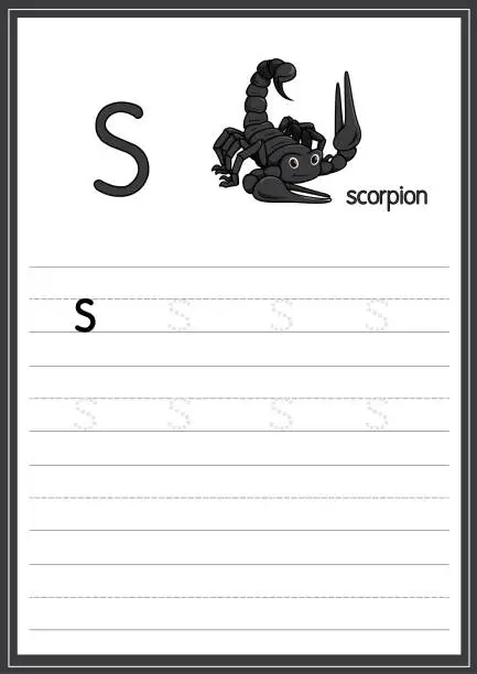 Vector illustration of Vector illustration of Scorpion isolated on a white background. With the lower case letter S for use as a teaching and learning media for children to recognize English letters Or for children to learn to write letters Used to learn at home and school.