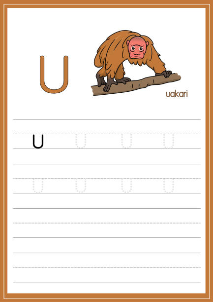 흰색 배경에 고립 된 우아카리의 벡터 그림입니다. 어린이가 영어 편지를 인식하거나 아이들이 집과 학교에서 배우는 데 사용되는 편지를 쓰는 법을 배우는 것을 배우기 위해 교육 및 학습 미디 - monkey sketch drawing showing stock illustrations