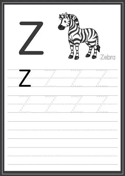 Vector illustration of Vector illustration of Zebra isolated on a white background. With the capital letter Z for use as a teaching and learning media for children to recognize English letters Or for children to learn to write letters Used to learn at home and school.