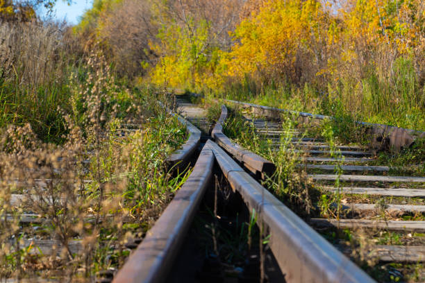 Canada's Old Railway Bridge in The Fall