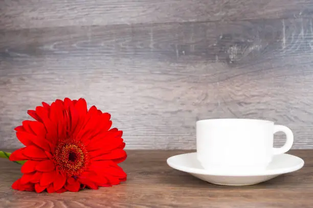 red gerbera flower with coffee cup on wooden table