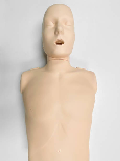 istock CPR dummy on white background for first aid and cardiopulmonary resuscitation training 1253585132