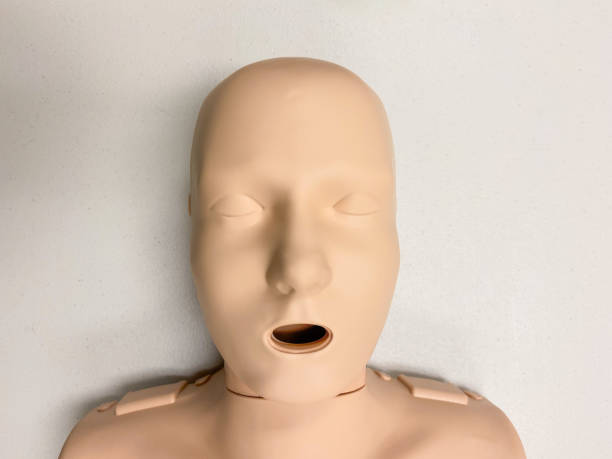 istock CPR dummy on white background for first aid and cardiopulmonary resuscitation training 1253585195