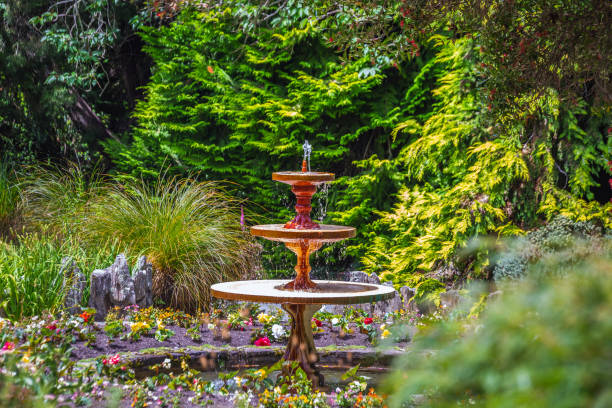 istock New Zealand views 1253593435
