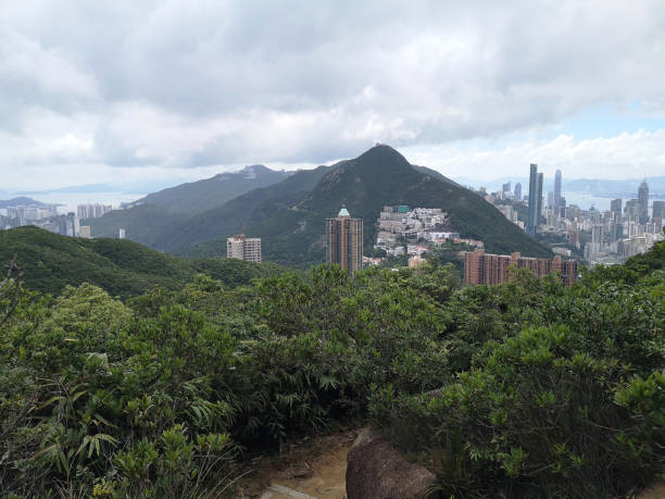 istock Hong Kong cityscape from Violet Hill 1253594616
