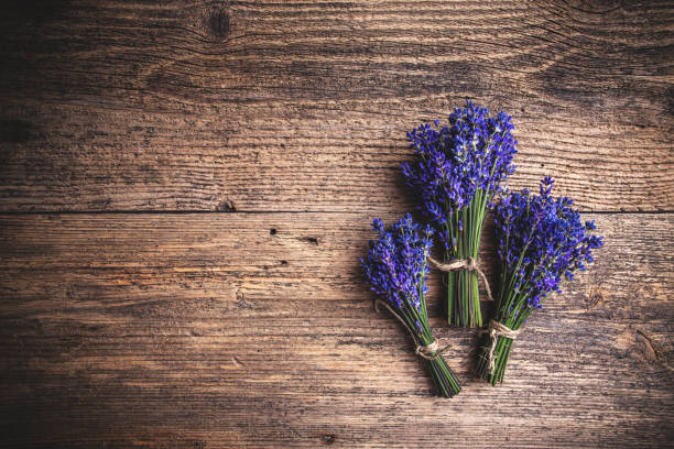 istock Fresh lavender flowers 1253595198