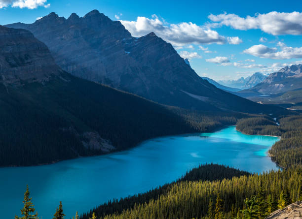 istock Gorgeous Peyto Lake Panorama 1253598173