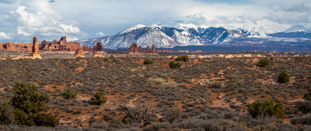 istock Parade of Elephants Panorama 1253598247