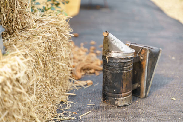 istock Vintage beekeeping smoker 1253600124