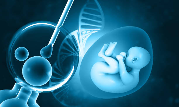 fertilización vitro. fiv y feto humano con cadena de adn - feto etapa humana fotografías e imágenes de stock