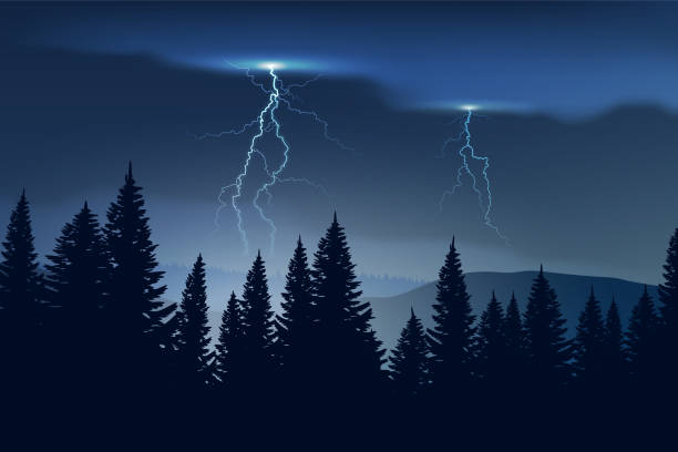 illustrations, cliparts, dessins animés et icônes de orage dans les montagnes. pluie dans la forêt nocturne. - storm cloud storm lightning cloud