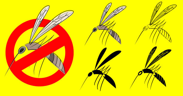 Malaria Cartoon Stock Photos, Pictures & Royalty-Free Images - iStock Malaria Cartoon Stock Photos, Pictures & Royalty-Free Images - iStock