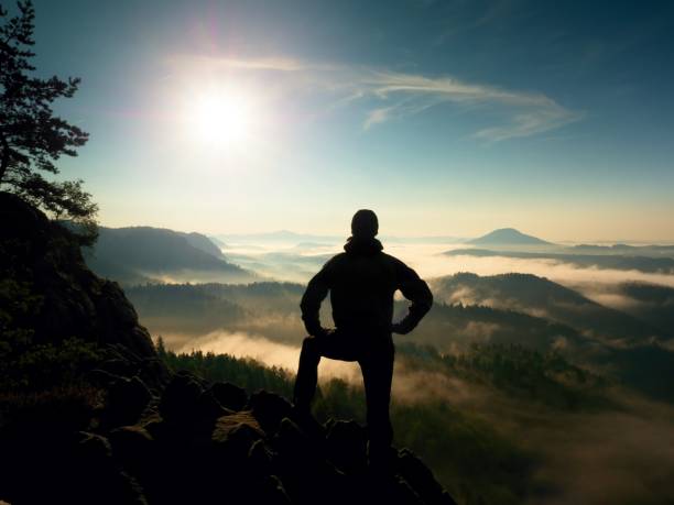 istock Hiker Stand At Heather Bush On Corner Of Empire Bellow Pine Tree. 1253609343