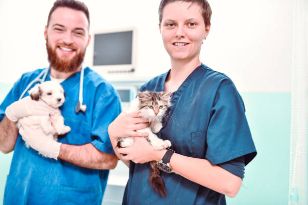istock Dog Versus Cat Person 1253617315