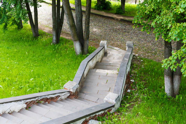 istock Stairs leading down to the trees in the summer. 1253617949