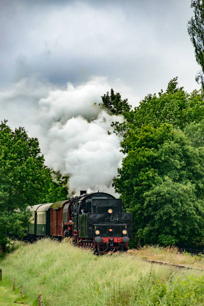 istock Vintage steam train pulling railway cars in a rural landscape 1253618778