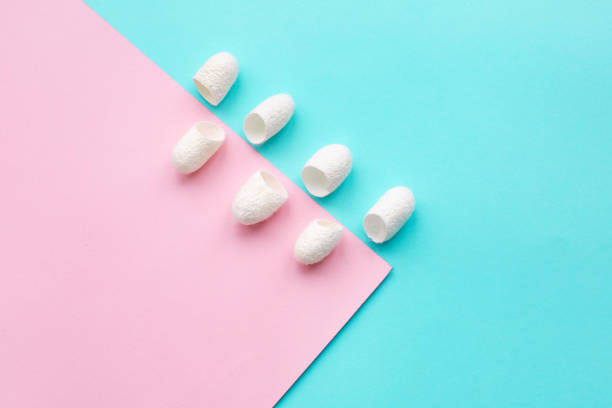istock White Organic silkworm cocoon for beauty treatments 1253621810