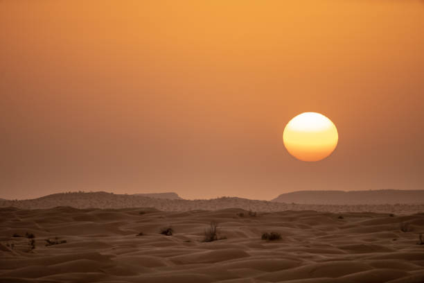 sahara tunisino - east middle road desert foto e immagini stock