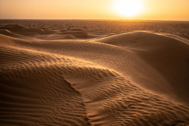 Tunisian Sahara View of the desert in Tunisia, the beginning of the Sahara tunisia sahara douz stock pictures, royalty-free photos & images
