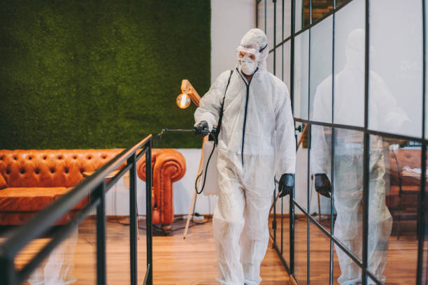 istock Office disinfection during COVID-19 pandemic 1253624220