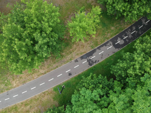 istock Road through the green forest, Aerial view 1253624372