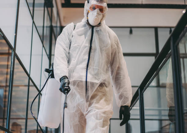 istock Office disinfection during COVID-19 pandemic 1253624376
