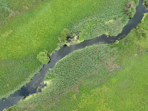 istock Aerial view over the small river which is on the green meadow. 1253624384