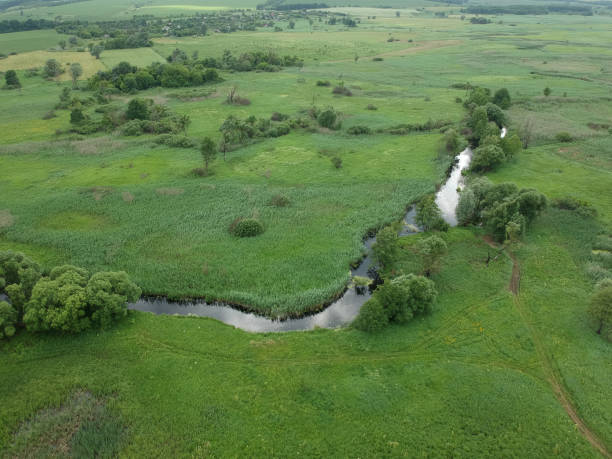 istock Aerial view over the small river which is on the green meadow. 1253624398