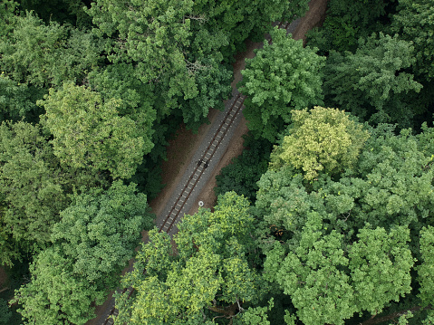 Aerial view with a drone of a train railroad in the green forest