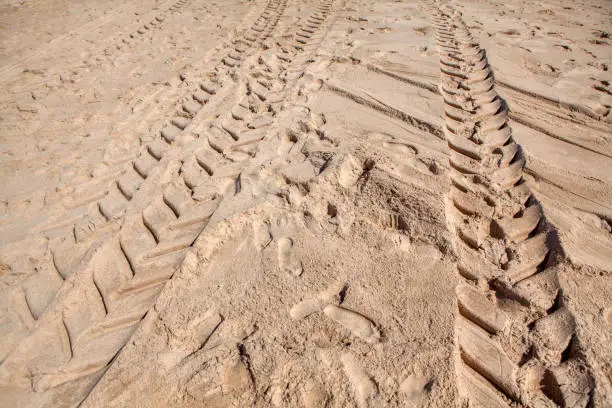 Photo of Tracks from a caterpillar tractor