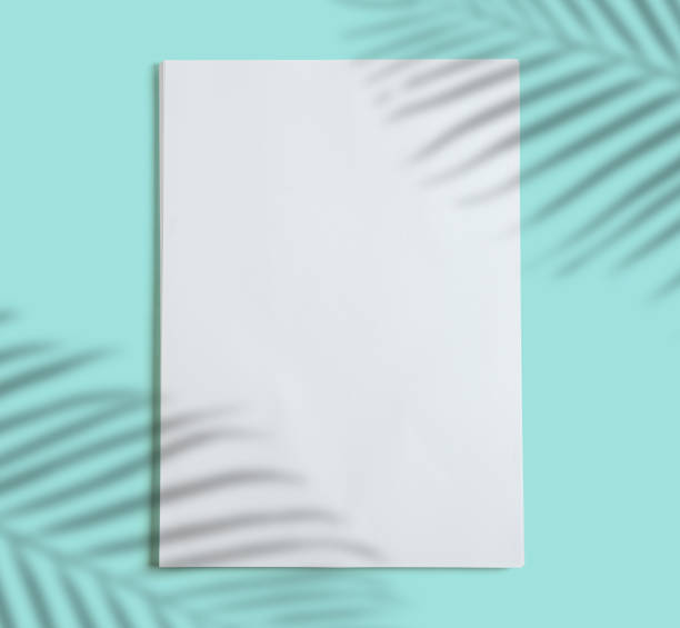 istock stack of white folios on turquoise blue background, shadow of plants 1253625016