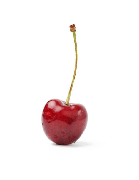 istock round red ripe sweet cherry on a stalk 1253631653