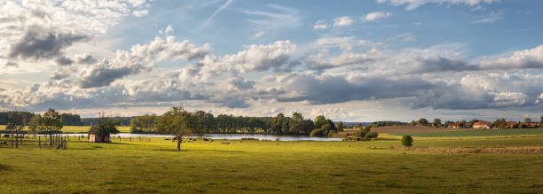 paysage avec ciel bleu et nuages - panorama de la campagne rurale avec étang, pâturage avec le bétail - autumn sky nobody lake photos et images de collection