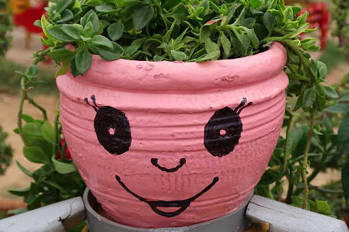 Stock photo showing close-up view on decorated plant pot in garden setting.