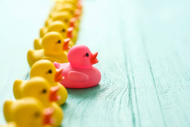 Abstract conceptual image depicting standing out from the crowd, LGBTQI, courage, coming out, leadership, achievement, better than the rest, winning, etc. Shallow depth of field with focus through the eyes of the duck in the forward position. fila de patos de goma amarillos en una línea con un pato rosado diferente más adelante de la línea, destacando entre la multitud, escena ambientada sobre un viejo fondo de panel de madera desgastado de color turquesa, que representa conceptualmente el a