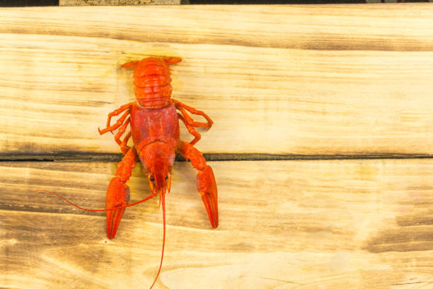 istock Boiled crayfish boiled ready to eat, wooden background. 1253635431