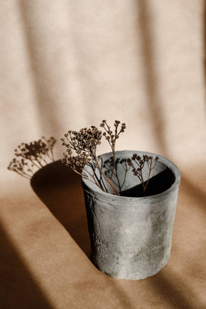 istock Abstract creative minimal composition with a clay pot and dry grass against kraft paper. Natural and ecological products concept. 1253636923
