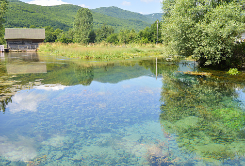 Lake in Park Brdo near Kranj, Gorenjska, Slovenia