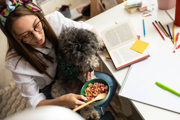 Young woman spending time with her dog at home Young woman spending time with her dog at home during coronavirus lockdown dog ate my homework stock pictures, royalty-free photos & images
