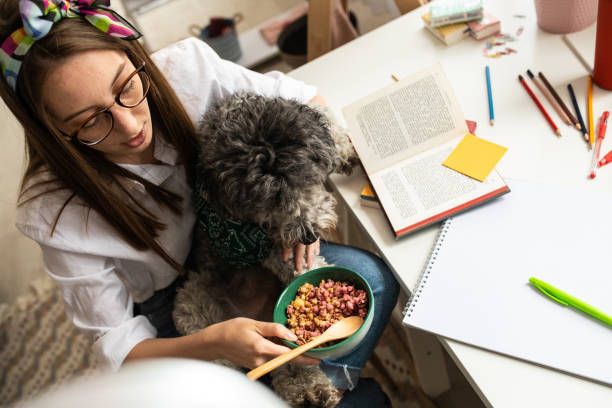 dog homework picture Young woman spending time with her dog at home Young woman spending time with her dog at home during coronavirus lockdown dog ate my homework stock pictures, royalty-free photos & images