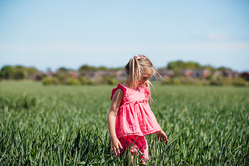 A side view of a young girl standing in an agricultural field and looking down.